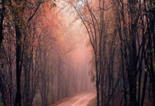 维修保养登记表格,维修保养记录表