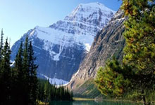 维修保养登记表格,维修保养记录表