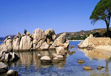 维修保养登记表格,维修保养记录表